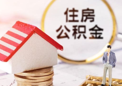 洛阳住房公积金账户余额如何提取（如何提取住房公积金个人账户余额）